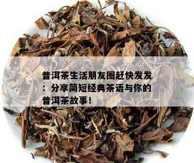 普洱茶生活朋友圈赶快发发：分享简短经典茶语与你的普洱茶故事！