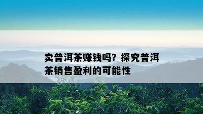 卖普洱茶赚钱吗？探究普洱茶销售盈利的可能性