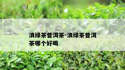 滇绿茶普洱茶-滇绿茶普洱茶哪个好喝