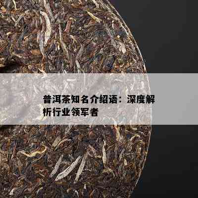 普洱茶知名介绍语：深度解析行业领军者