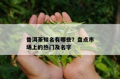 普洱茶知名有哪些？盘点市场上的热门及名字