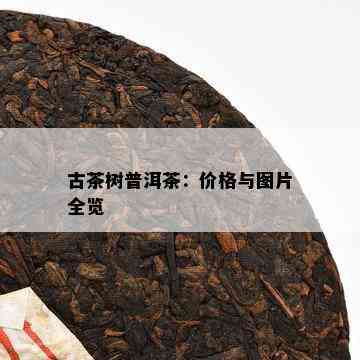 古茶树普洱茶：价格与图片全览