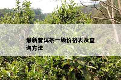 最新普洱茶一级价格表及查询方法