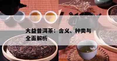 大益普洱茶：含义、种类与全面解析