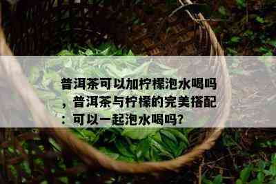 普洱茶可以加柠檬泡水喝吗，普洱茶与柠檬的完美搭配：可以一起泡水喝吗？