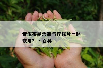 普洱茶是不是能与柠檬片一起饮用？ - 百科