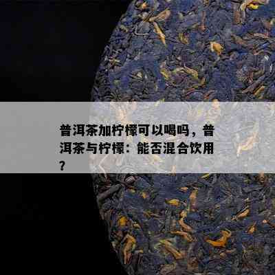 普洱茶加柠檬可以喝吗，普洱茶与柠檬：能否混合饮用？