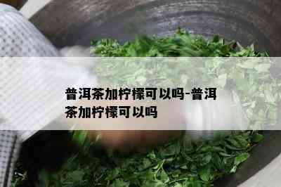 普洱茶加柠檬可以吗-普洱茶加柠檬可以吗