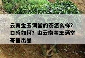 云南金玉满堂的茶怎么样？口感怎样？由云南金玉满堂寄售出品