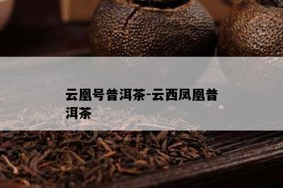 云凰号普洱茶-云西凤凰普洱茶