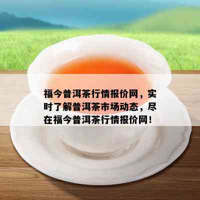 福今普洱茶行情报价网，实时熟悉普洱茶市场动态，尽在福今普洱茶行情报价网！