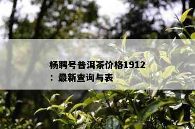 杨聘号普洱茶价格1912：最新查询与表