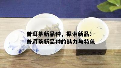 普洱茶新品种，探索新品：普洱茶新品种的魅力与特色