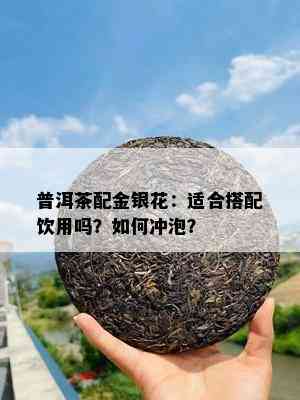 普洱茶配金银花：适合搭配饮用吗？怎样冲泡？