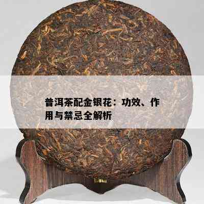 普洱茶配金银花：功效、作用与禁忌全解析