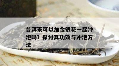 普洱茶可以加金银花一起冲泡吗？探讨其功效与冲泡方法