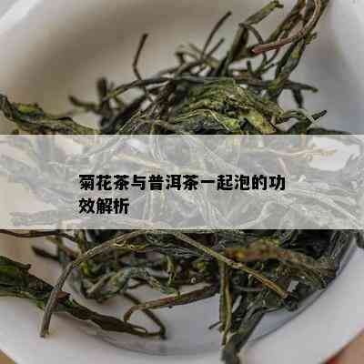 菊花茶与普洱茶一起泡的功效解析