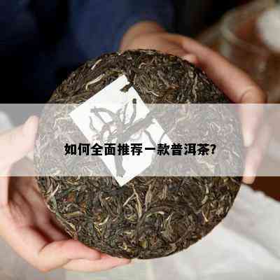 如何全面推荐一款普洱茶？