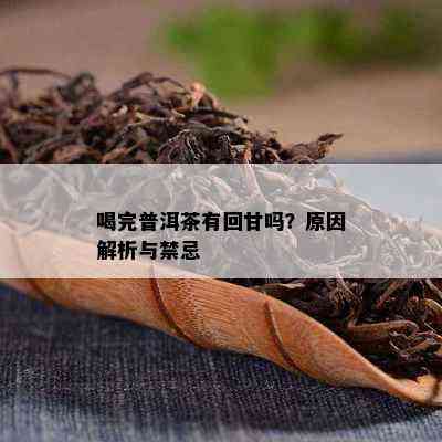 喝完普洱茶有回甘吗？起因解析与禁忌