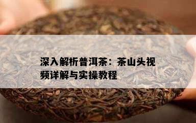 深入解析普洱茶：茶山头视频详解与实操教程