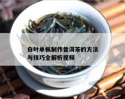 白叶单枞制作普洱茶的方法与技巧全解析视频