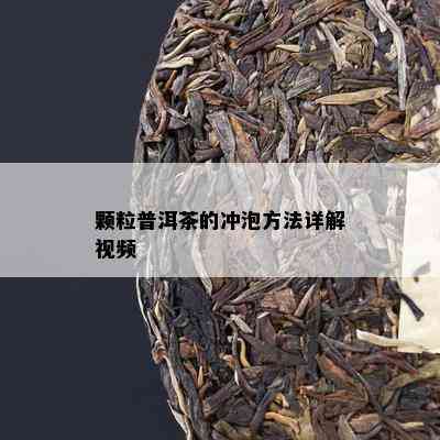 颗粒普洱茶的冲泡方法详解视频