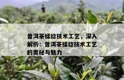 普洱茶揉捻技术工艺，深入解析：普洱茶揉捻技术工艺的奥秘与魅力