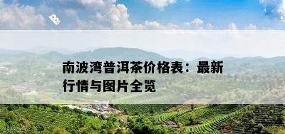 南波湾普洱茶价格表：最新行情与图片全览