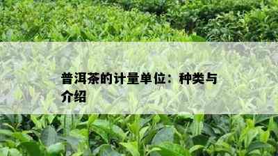 普洱茶的计量单位：种类与介绍