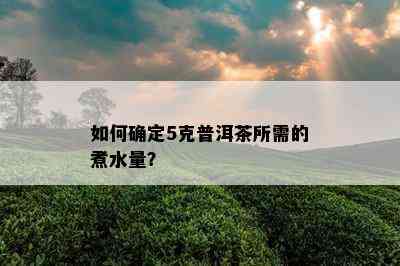 如何确定5克普洱茶所需的煮水量？