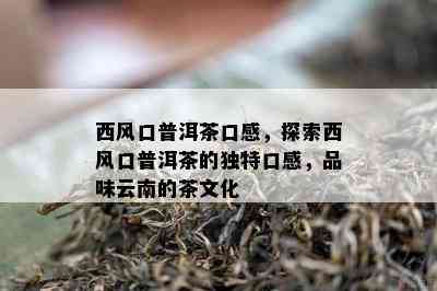 西风口普洱茶口感，探索西风口普洱茶的特别口感，品味云南的茶文化