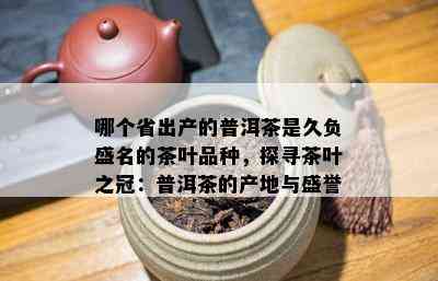 哪个省出产的普洱茶是久负盛名的茶叶品种，探寻茶叶之冠：普洱茶的产地与盛誉