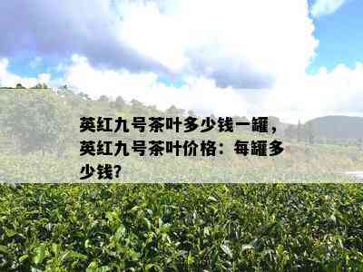 英红九号茶叶多少钱一罐，英红九号茶叶价格：每罐多少钱？