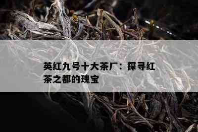 英红九号十大茶厂：探寻红茶之都的瑰宝