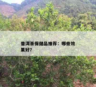 普洱茶保健品推荐：哪些效果好？