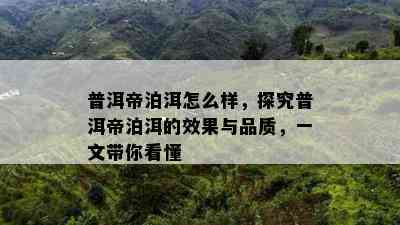 普洱帝泊洱怎么样，探究普洱帝泊洱的效果与品质，一文带你看懂