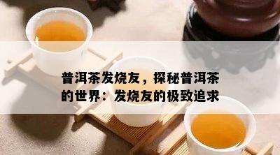 普洱茶发烧友，探秘普洱茶的世界：发烧友的极致追求