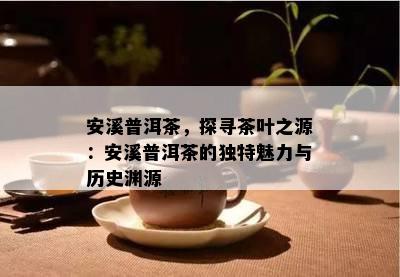 安溪普洱茶，探寻茶叶之源：安溪普洱茶的独特魅力与历史渊源