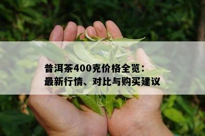 普洱茶400克价格全览：最新行情、对比与购买建议