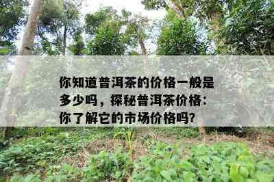 你知道普洱茶的价格一般是多少吗，探秘普洱茶价格：你了解它的市场价格吗？