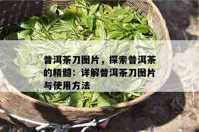 普洱茶刀图片，探索普洱茶的精髓：详解普洱茶刀图片与使用方法