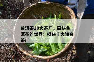 普洱茶10大茶厂，探秘普洱茶的世界：揭秘十大知名茶厂