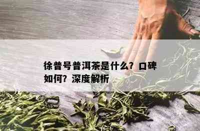 徐普号普洱茶是什么？口碑怎样？深度解析