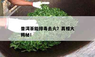 普洱茶能排去火？真相大揭秘！