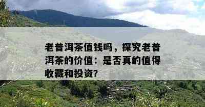 老普洱茶值钱吗，探究老普洱茶的价值：是不是真的值得收藏和投资？