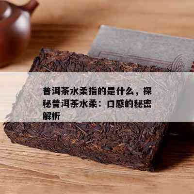 普洱茶水柔指的是什么，探秘普洱茶水柔：口感的秘密解析