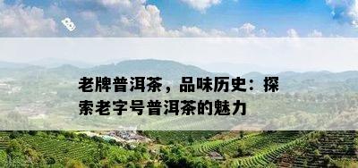 老牌普洱茶，品味历史：探索老字号普洱茶的魅力