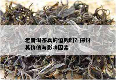 老普洱茶真的值钱吗？探讨其价值与作用因素