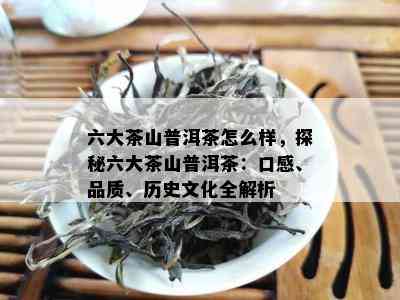 六大茶山普洱茶怎么样，探秘六大茶山普洱茶：口感、品质、历史文化全解析