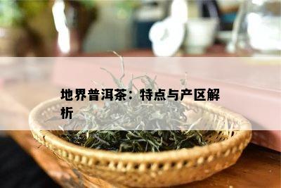 地界普洱茶：特点与产区解析